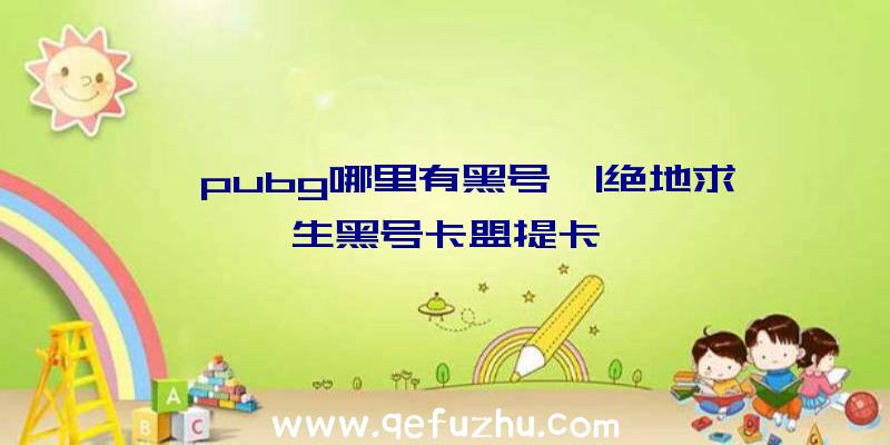 「pubg哪里有黑号」|绝地求生黑号卡盟提卡